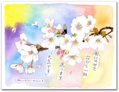 津山市の花　サクラの花【風にのせて 花びら一枚 送ります「元気です」】