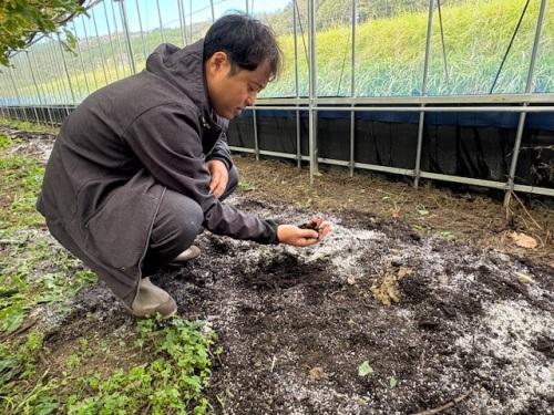 作業中の横山さん
