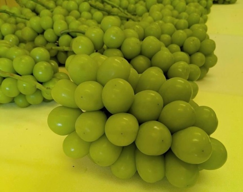 ぶどう2