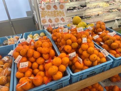 甘みが強いミカン