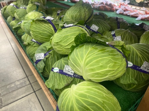 キャベツ