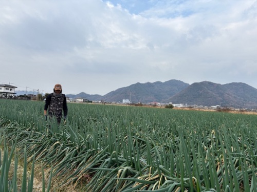 白ネギ生産者 中島 悠介さん