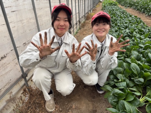 生徒たちが両手を広げて手の状態を見せて下さいました。
