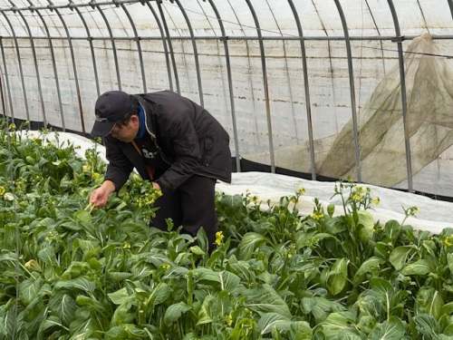 年間約60種類の作物を作っています。