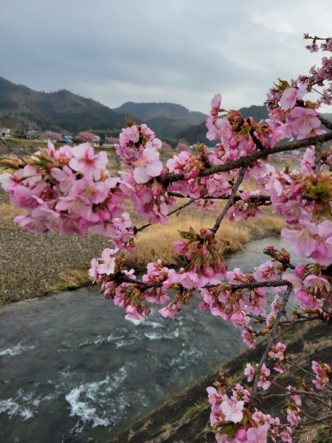 県北にも春来る。 | 奈義町　赤座さん
