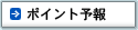 �|�C���g�\��