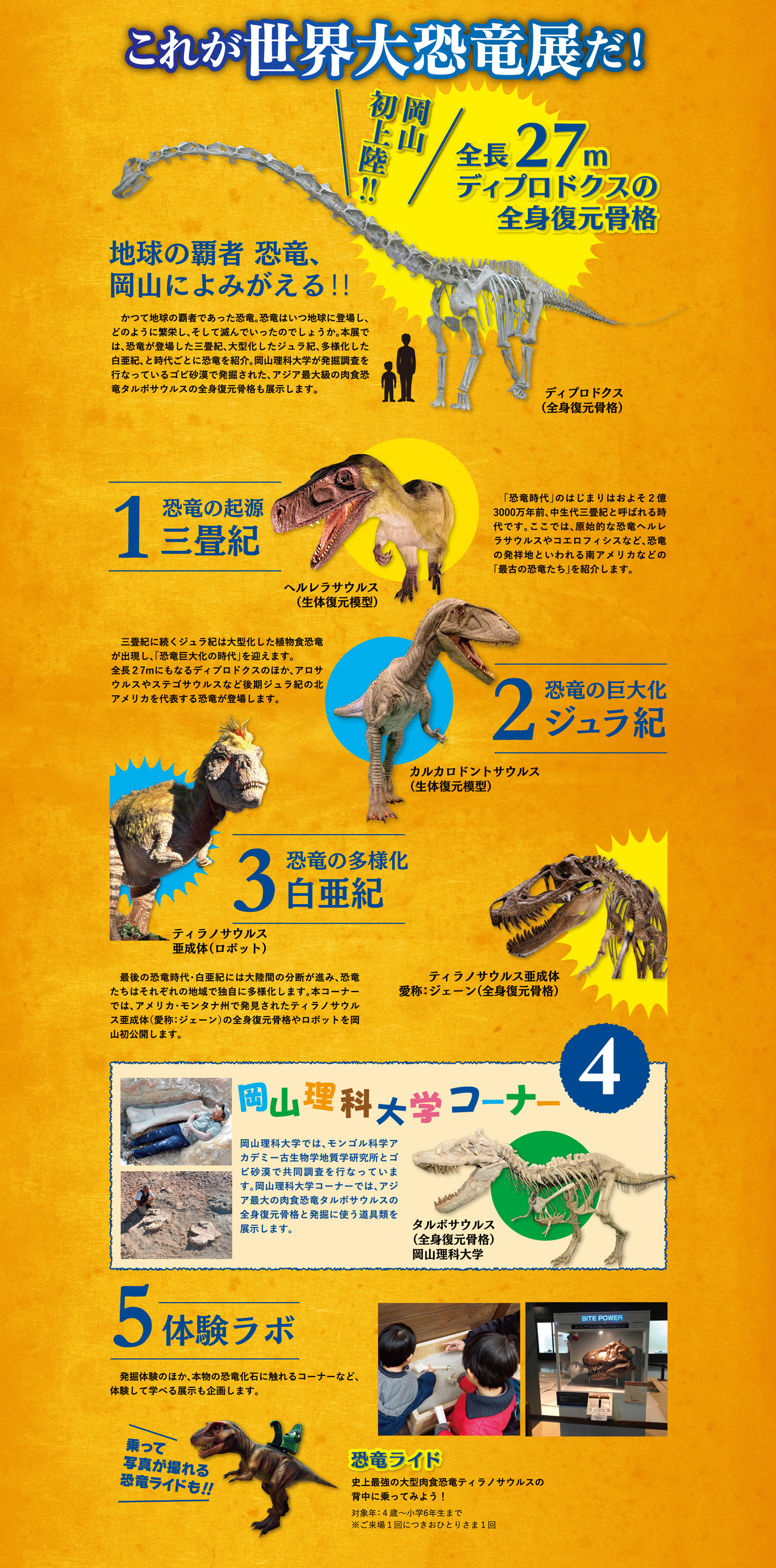 これが世界大恐竜展だ！岡山初上陸!!全長27mディプロドクスの全身復元骨格｜1.恐竜の起源 三畳紀｜2.恐竜の巨大化 ジュラ紀｜3.恐竜の多様化 白亜紀｜4.岡山理科大学コーナー｜5.体験ラボ