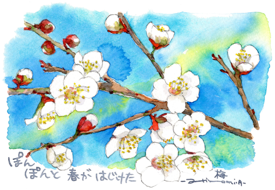 今月の風景画「津山市／神代梅の里公園」