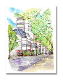 西川緑道公園沿いの道