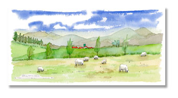 蒜山高原の羊