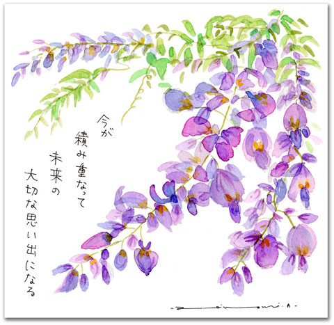 倉敷市の花　フジの花【今が 積み重なって 未来の 大切な思い出になる】