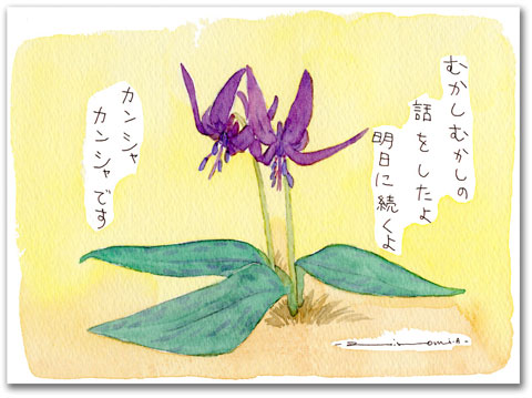 美作市の花　カタクリの花【むかしむかしの 話をしたよ 明日に続くよ カンシャ カンシャです】