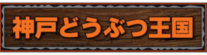 神戸どうぶつ王国