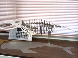 鯨の骨格を“田中の技術”で作成、板金の見本