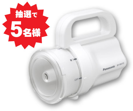 電池がどれでもライト