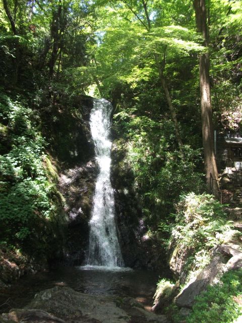 DSCF9081_640