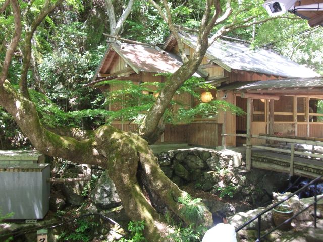 DSCF9083_640
