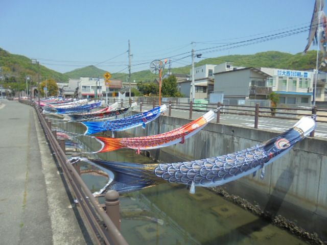 流れ川の中央に並ぶ約220匹の鯉のぼり