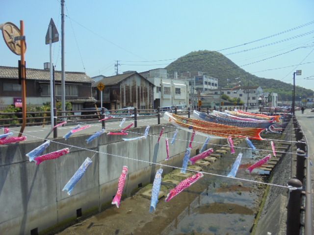 流れ川の中央に並ぶ鯉のぼり