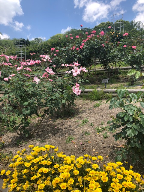 半田山植物園