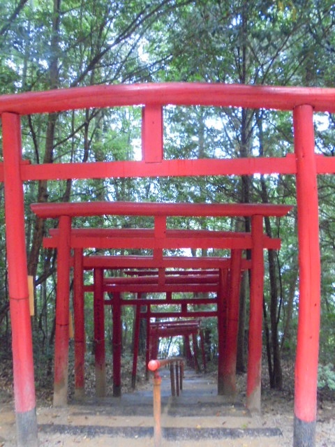 時切稲荷神社　たくさんの朱色の鳥居が並ぶ