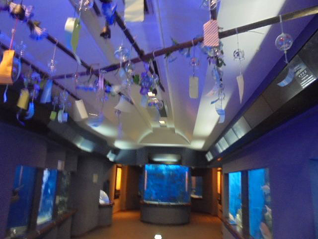 玉野海洋博物館