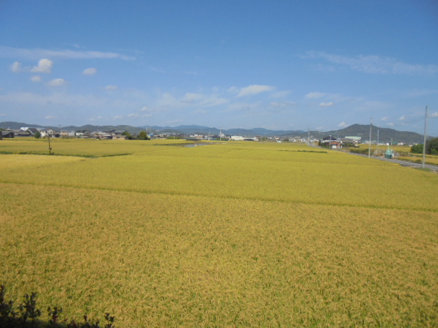 上南公民館から見える風景