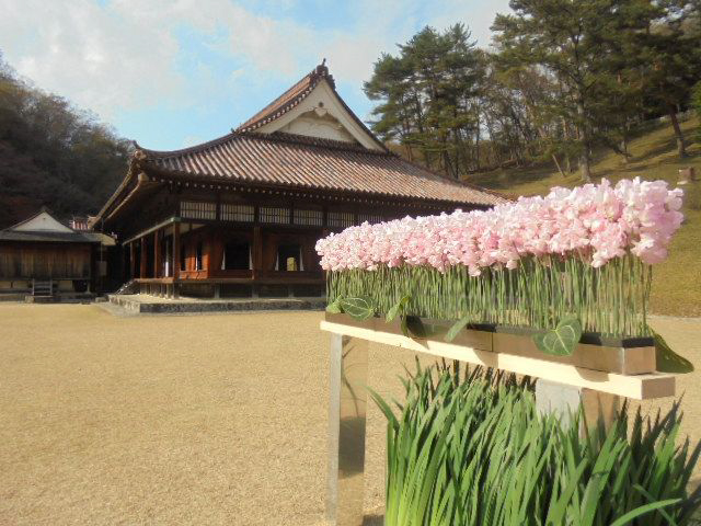 FLOWER EXHIBITION IN SHIZUTANI 