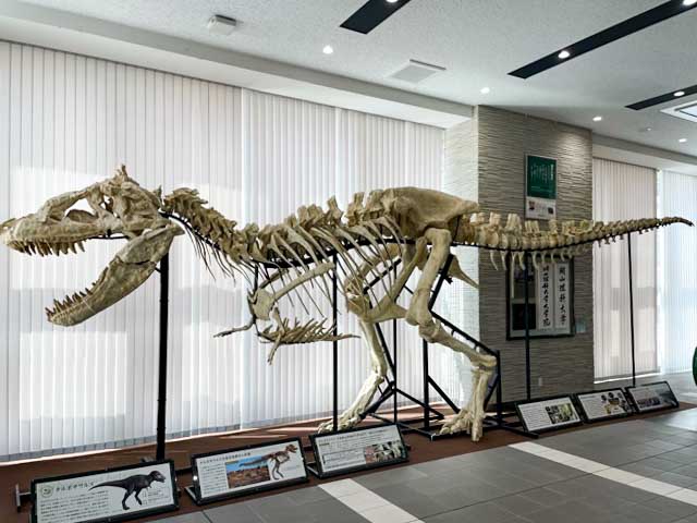 ヘレラサウルスの骨格標本