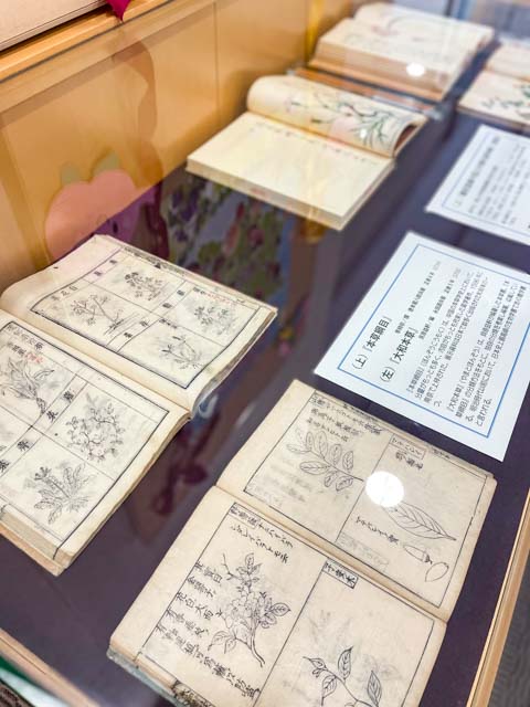 花に関する書籍の展示