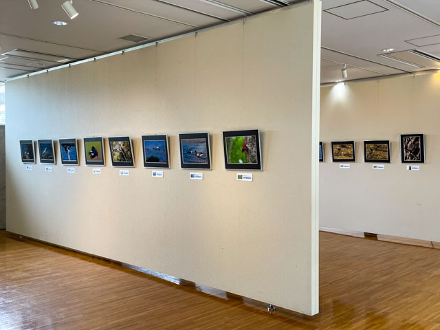 野鳥写真展の様子