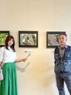 岡山県生涯学習センター交流棟・pieni deux