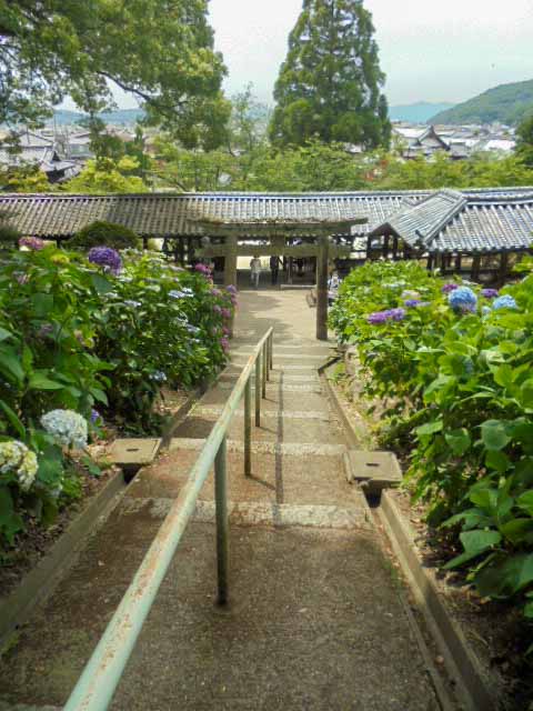 石段上から見下ろした風景