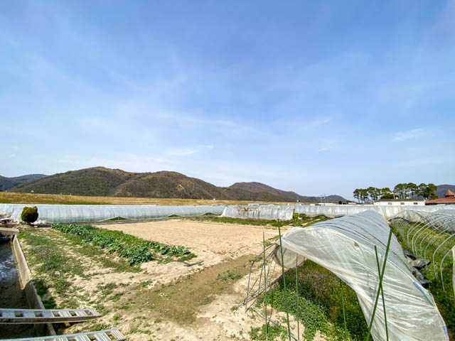 ミモレ農園の広大な敷地が広がる