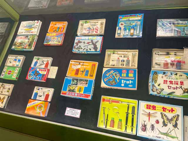 昭和時代の子供用昆虫標本作成キットの展示