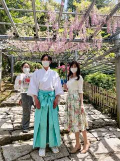 「藤見の会」がまもなく開催、芸能披露やお茶席に特別展示も(阿智神社)