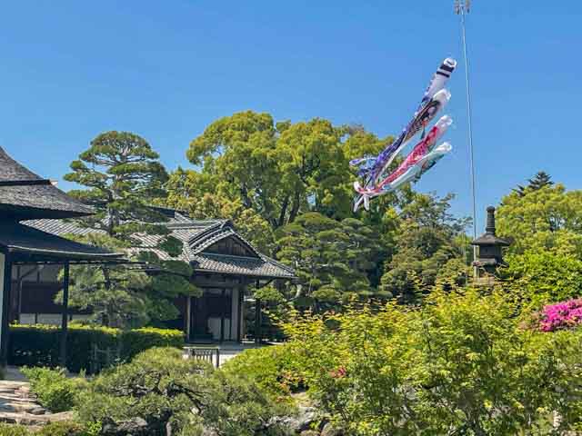 庭園内に掲げられたこいのぼり