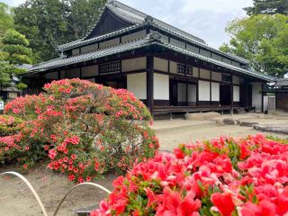 国産ジーンズ館がリニューアルされたベティスミス(倉敷市児島下野町)と、サツキが見頃の旧野崎家住宅(倉敷市児島味野)へ行ってきました♪