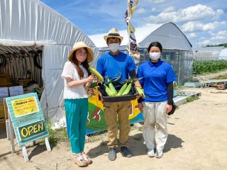 金色のように輝く大きな粒、とうもろこしのゴールドラッシュが旬の「そうじゃ地食べ公社」(総社市西郡)のハウスへ行ってきました♪