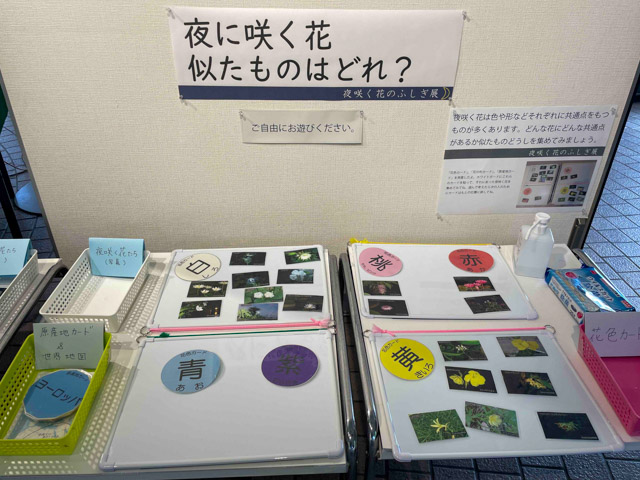 「夜咲く花のふしぎ展」