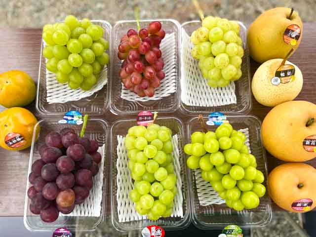 梨や葡萄などのたくさんの果物