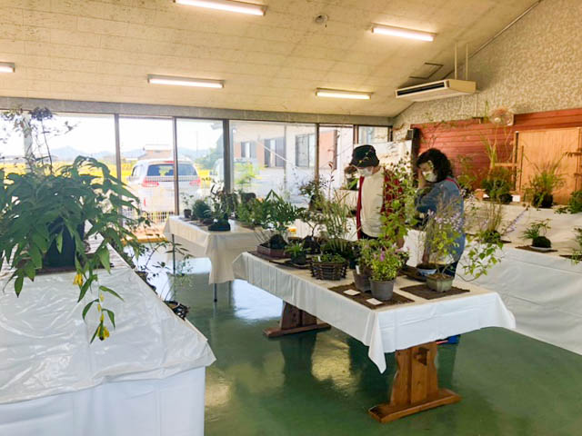 山野草の鉢およそ200点を展示