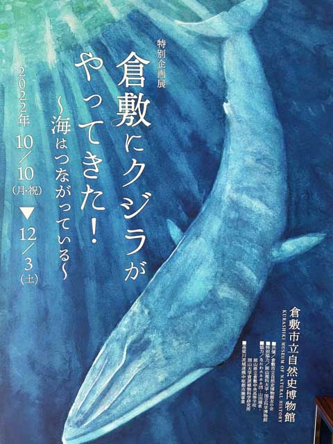 倉敷にクジラがやってきた！