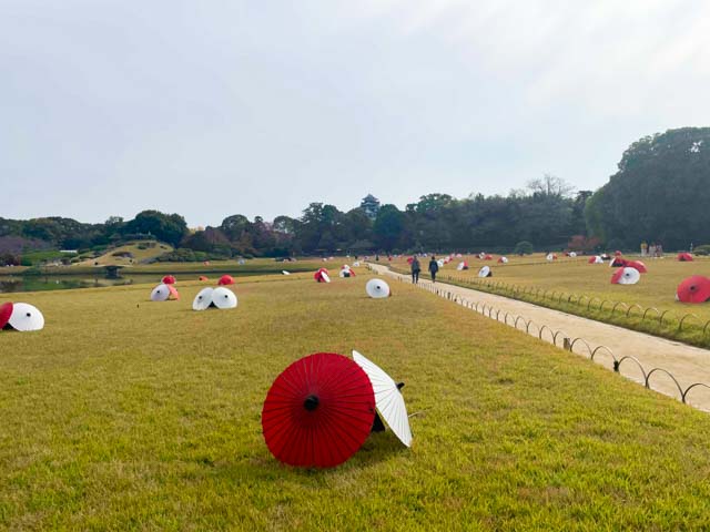 庭園に飾られた紅白の和傘