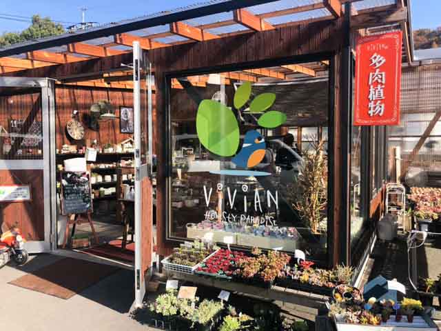 多肉植物のお店「vivian」