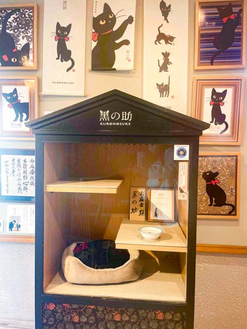 夢二郷土美術館の猫の黑の助