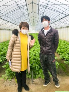 今年もスイトピーのシーズン到来!船穂のFARM TAKAO＆県内唯一のセロリの産地！総社市山手地区のセロリ畑にお邪魔しました♪