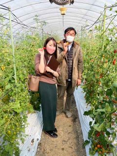 岡山市南区西七区にて、4品種のイチゴが食べ放題！かもめファーム＆さくらんぼトマトが収穫期を迎えている、奥野農園へ行ってきました！