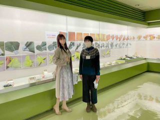 ただいま特別陳列「折り紙 昆虫展」が開催中の倉敷市立自然史博物館（倉敷市中央）＆もうすぐ雛祭り！旧野崎家住宅（倉敷市児島味野）へ行ってきました！