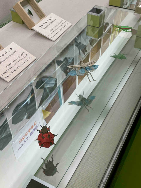 昆虫の折り紙作品